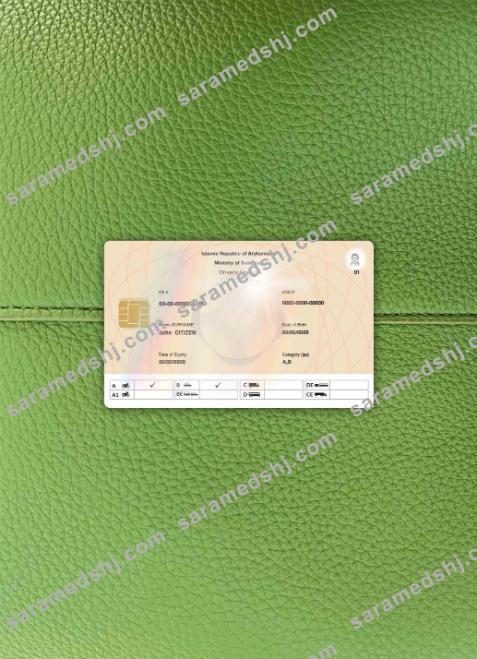 Afghanistan electronic DL, 2019-pres photolook BACK